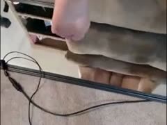 I hit her confined muff from behind, and my black cock whores can't live without it.